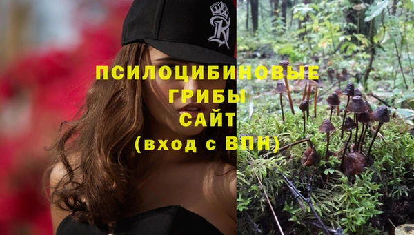 Альфа ПВП Абдулино