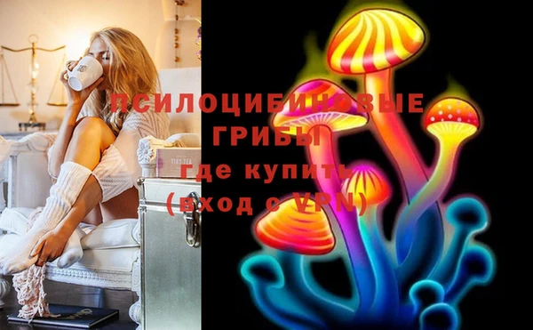 шишки Абинск