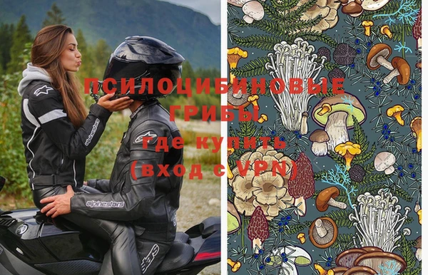 кокс Абаза