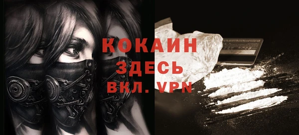 шишки Абинск